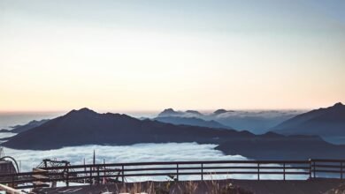 creative web platform cloud suite